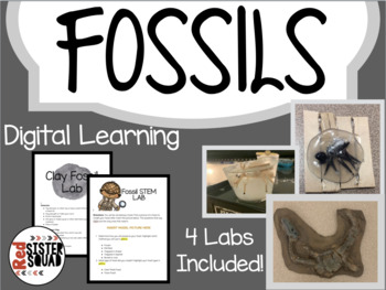 Preview of Fossils