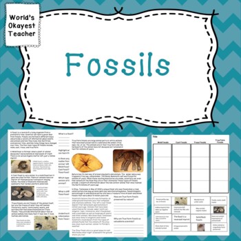 Fossils by World's Okayest Teacher | Teachers Pay Teachers