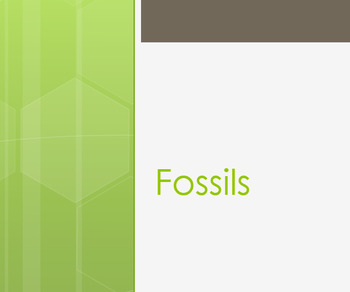Preview of Fossils