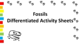 Fossils Activities