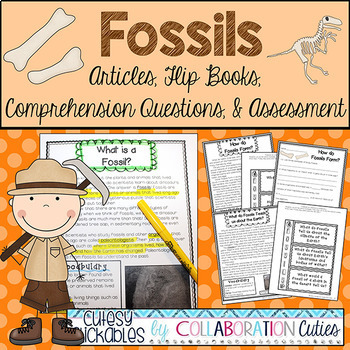 Preview of Fossils Activities, Reading Passages, Worksheets, & Assessment 2nd 3rd 4th