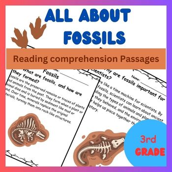 Fossils Activities, Reading Passages, Worksheets, and Fun Facts | TPT