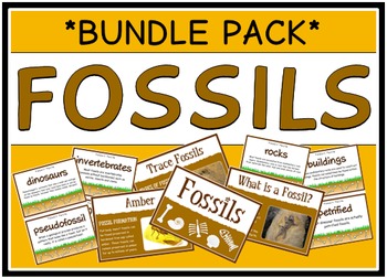 Preview of Fossils (BUNDLE PACK)