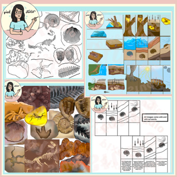 Preview of Fossils Bundle: Types of Fossils and Processes of Fossilization Clip Art