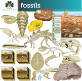 Fossils Clip Art