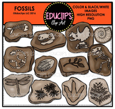 Fossils Clip Art Bundle  {Educlips Clipart}