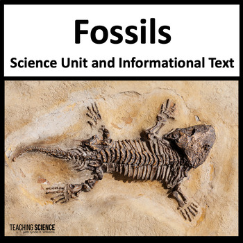 Preview of Fossils Activities & Evidence of Organisms That Lived Long Ago 3-LS4-1. & 4-ESS1