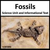 Fossils Activities & Evidence of Organisms That Lived Long