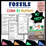 Fossils Color by Number - Science Color by Number Activity