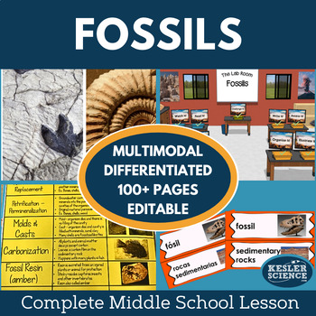 Preview of Fossils Complete 5E Lesson Plan
