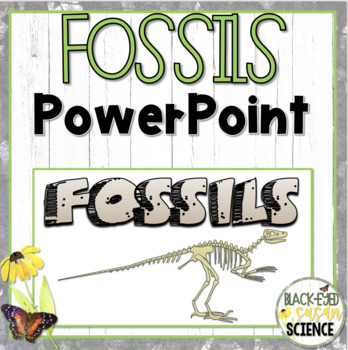 Preview of Fossils Doodle Notes---POWERPOINT