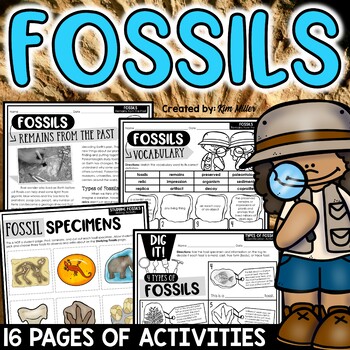 Preview of Types of Fossils Worksheets Activities Reading Passages 3rd 4th 5th Grade