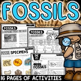 Types of Fossils Worksheets Activities Reading Passages 3r