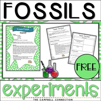 Fossils Worksheet Worksheets Experiments Freebie by The Campbell Connection