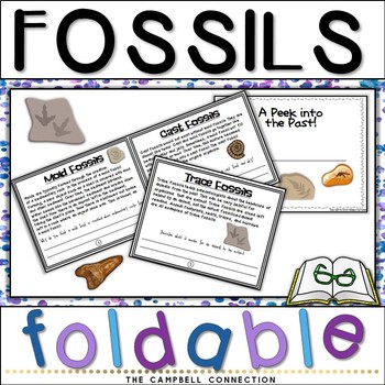 Fossils Worksheets Foldable Book by The Campbell Connection | TpT