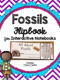 Fossils Flipbook  (Interactive Notebooks)