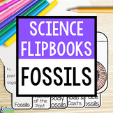 Fossils Flipbook | Past Environments, Body Fossils, Molds 