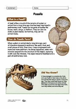 Fossils Grade 7 Lesson Plan by On The Mark Press | TpT