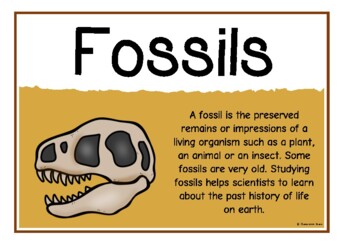 Preview of Fossils Information Poster Set