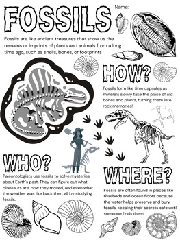 Preview of Fossils Informational Coloring Page