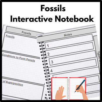 Preview of Fossils Interactive Notebook Template