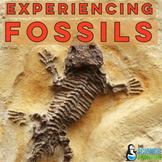 Fossils Lab