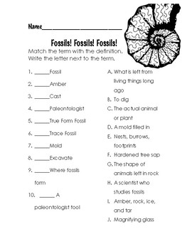Preview of Fossils Matching Assessment