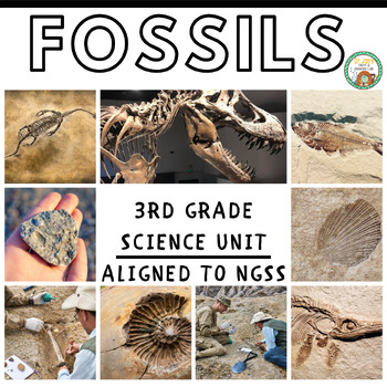 Preview of 3rd Grade Science: Fossils Unit (Aligned to NGSS)