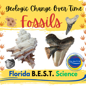 Preview of Geologic Change Over Time Fossils Florida BEST 6th Grade Science SC.7.E.6.4