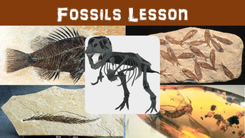 Preview of Fossils No Prep Lesson with Power Point, Worksheet, and Paleontologist Activity