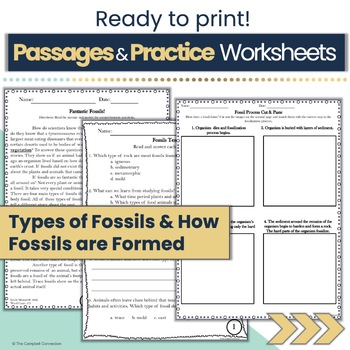 Fossils Worksheet by The Campbell Connection | Teachers Pay Teachers