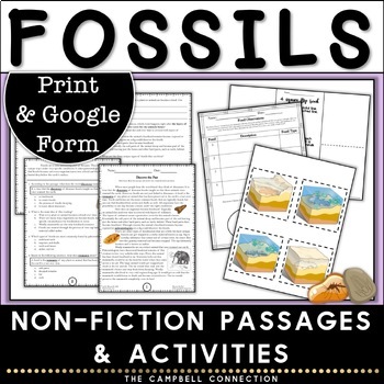 Preview of Fossils Worksheet Activity Types of Fossils - Reading Passages-3rd 4th 5th grade