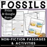 Fossils Worksheet Activity Types of Fossils - Reading Pass
