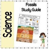 Fossils Notes/Anchor Chart