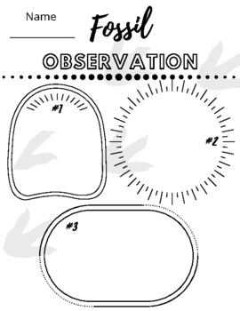 Preview of Fossils Observation Sheet