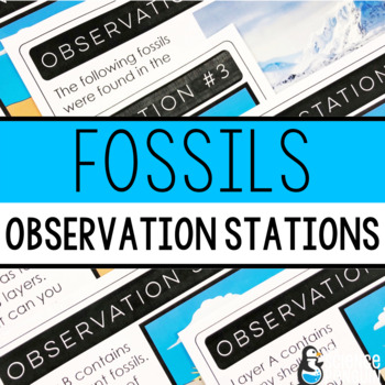 Preview of Fossils Science Observation Stations & Worksheet + Digital Resource Option