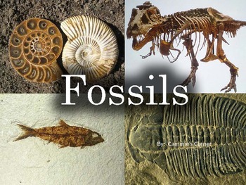 Preview of Fossils POWERPOINT WITH NOTES - 3rd Grade science