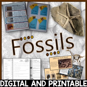Fossils Teaching Resources | TPT