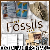 Fossils Pack -  mold, cast, true-form, trace, paleontologi