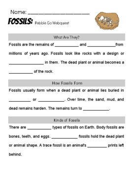 Preview of Fossils Pebble Go