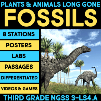 Preview of Plant & Animal Fossil Projects 3rd Grade Unit Dinosaurs Record Worksheets Sort