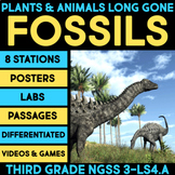 Plant & Animal Fossil Projects 3rd Grade Unit Dinosaurs Re