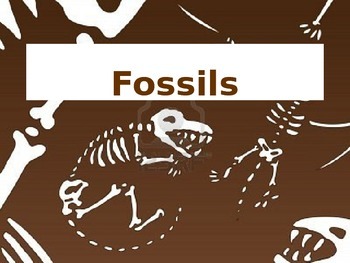 Preview of Fossils PowerPoint & Scaffolded Notes