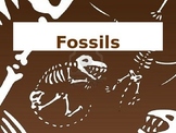 Fossils PowerPoint & Scaffolded Notes