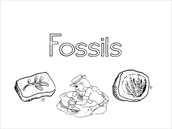 Preview of Fossil PowerPoint & Activities