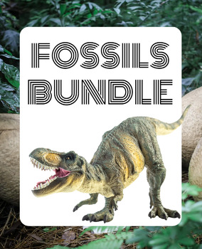 Preview of Fossils PowerPoint/ Activity Bundle
