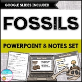 Fossils PowerPoint & Notes Set - Print & Digital