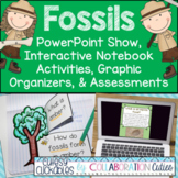 Fossils Worksheets, Interactive Notebook Activities, Power
