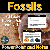 Fossils - PowerPoint and Notes
