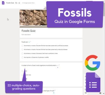 Preview of Fossils Quiz in Google Forms